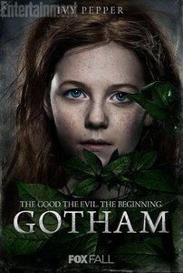 Films en series Series Gotham 