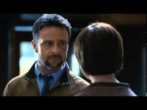 Films en series Series Hinterland 