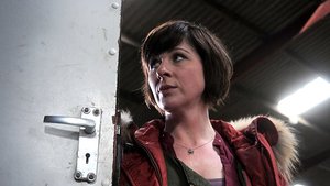 Films en series Series Hinterland 