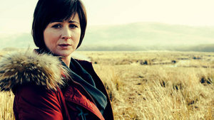 Films en series Series Hinterland 