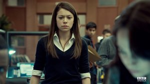 Films en series Series Orphan black 