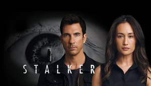 Films en series Series Stalker 