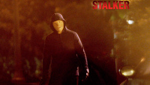 Films en series Series Stalker 