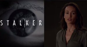 Films en series Series Stalker 