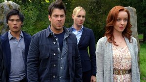 Films en series Series The librarians 