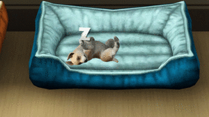 Games De sims Sims 3 Slapend Hondje