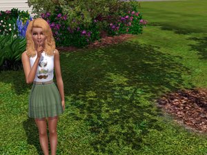 Games De sims 