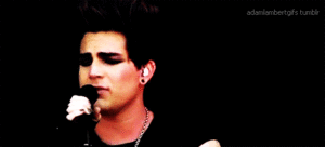 Adam Lambert GIF. Artiesten Gifs Adam lambert Fotoset 
