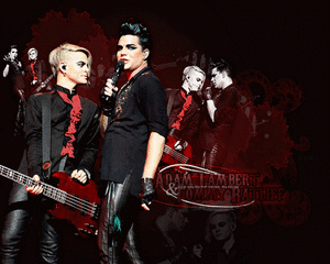 Adam Lambert GIF. Artiesten Gifs Adam lambert 