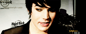 Adam Lambert GIF. Muziek Artiesten Gifs Adam lambert 