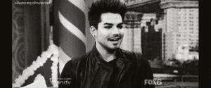 Adam Lambert GIF. Artiesten Gifs Adam lambert 