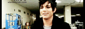 Adam Lambert GIF. Artiesten Gifs Adam lambert 2011 Maxidrom 