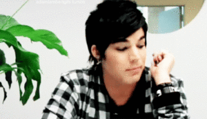 Adam Lambert GIF. Artiesten Gifs Adam lambert 