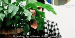 Adam Lambert GIF. Interview Artiesten Gifs Adam lambert American idol 
