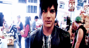 Adam Lambert GIF. Artiesten Gifs Adam lambert Fotoset 