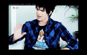 Adam Lambert GIF. Artiesten Gifs Adam lambert 