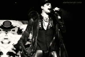 Adam Lambert GIF. Muziek Artiesten Gifs Adam lambert 