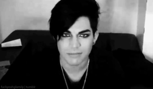 Adam Lambert GIF. Artiesten Gifs Adam lambert 