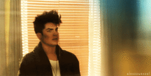 Adam Lambert GIF. Artiesten Gifs Adam lambert Aanbiddelijk 
