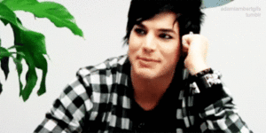 Adam Lambert GIF. Artiesten Gifs Adam lambert 2010 Glam natie tour Glam natie live 