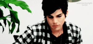 Adam Lambert GIF. Artiesten Gifs Adam lambert 2011 Maxidrom 