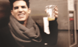 Adam Lambert GIF. Artiesten Gifs Adam lambert Glambert 