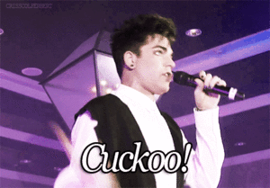 Adam Lambert GIF. Artiesten Gifs Adam lambert 