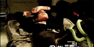 Adam Lambert GIF. Muziek Artiesten Gifs Adam lambert 