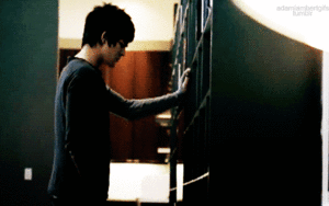 Adam Lambert GIF. Artiesten Gifs Adam lambert 2011 Fotoshoot Uit 100 