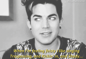 Adam Lambert GIF. Artiesten Gifs Adam lambert Glambert 