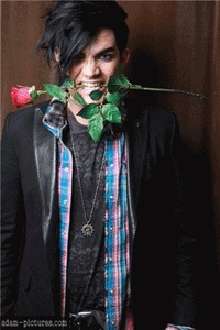 Adam Lambert GIF. Interview Artiesten Gifs Adam lambert 2010 