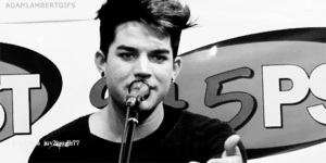 Adam Lambert GIF. Artiesten Gifs Adam lambert Petersburg Btikm 