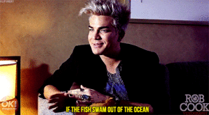 Adam Lambert GIF. Artiesten Gifs Adam lambert 