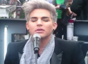Adam Lambert GIF. Artiesten Gifs Adam lambert Fotoset 