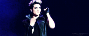Adam Lambert GIF. Muziek Artiesten Gifs Adam lambert 