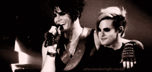 Adam Lambert GIF. Grappig Artiesten Gifs Adam lambert 