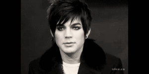 Adam Lambert GIF. Muziek Artiesten Gifs Adam lambert 