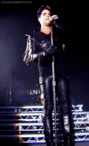 Adam Lambert GIF. Artiesten Gifs Adam lambert 