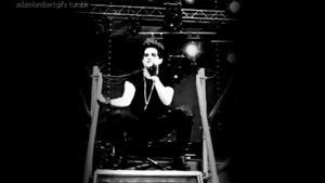 Adam Lambert GIF. Artiesten Gifs Adam lambert 2010 Donorschoosechat 