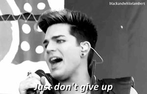 Adam Lambert GIF. Muziek Artiesten Gifs Adam lambert 