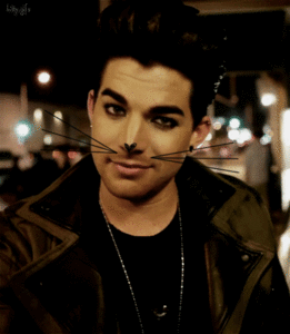 Adam Lambert GIF. Muziek Artiesten Gifs Adam lambert 