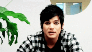 Adam Lambert GIF. Artiesten Gifs Adam lambert 