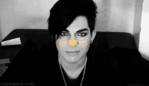 Adam Lambert GIF. Interview Artiesten Gifs Adam lambert Lachend 2011 