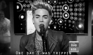 Adam Lambert GIF. Artiesten Gifs Adam lambert Gala 