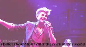 Adam Lambert GIF. Muziek Artiesten Gifs Adam lambert 