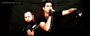 Adam Lambert GIF. Muziek Artiesten Gifs Adam lambert 