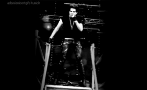 Adam Lambert GIF. Artiesten Zanger Gifs Adam lambert American idol 