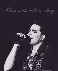 Adam Lambert GIF. Artiesten Gifs Adam lambert 2009 
