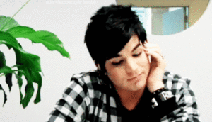 Adam Lambert GIF. Artiesten Gifs Adam lambert 