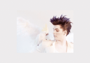 Adam Lambert GIF. Artiesten Gifs Adam lambert 
